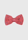 Bordo Papyon