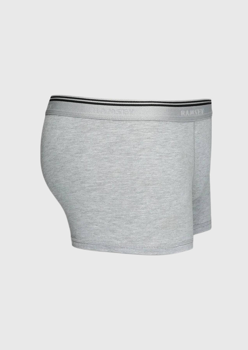 Gri Boxer
