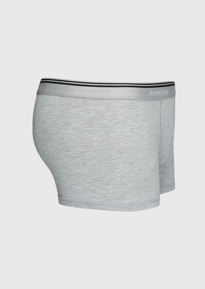 Gri Boxer