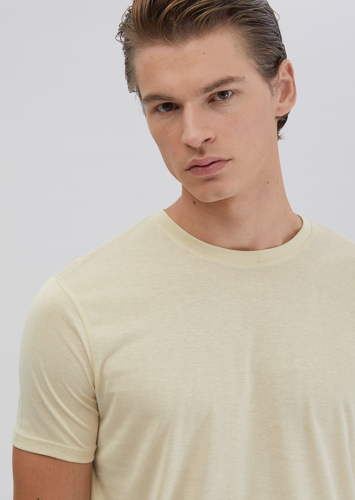 Taş Düz Bisiklet Yaka T-Shirt