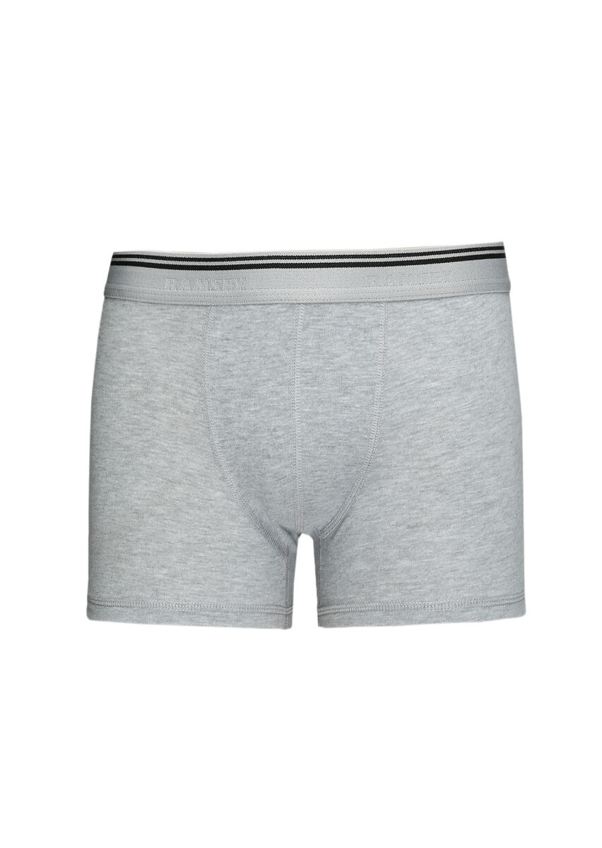 Gri Boxer - 1