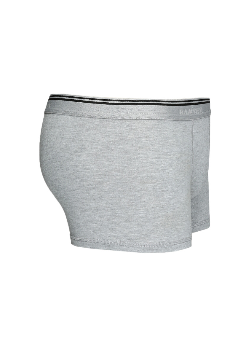 Gri Boxer 