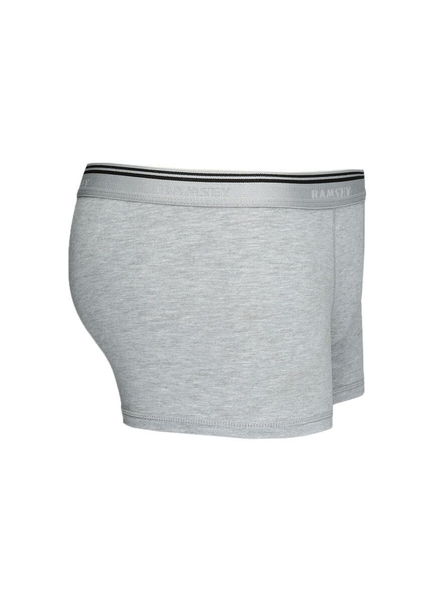 Gri Boxer - 2