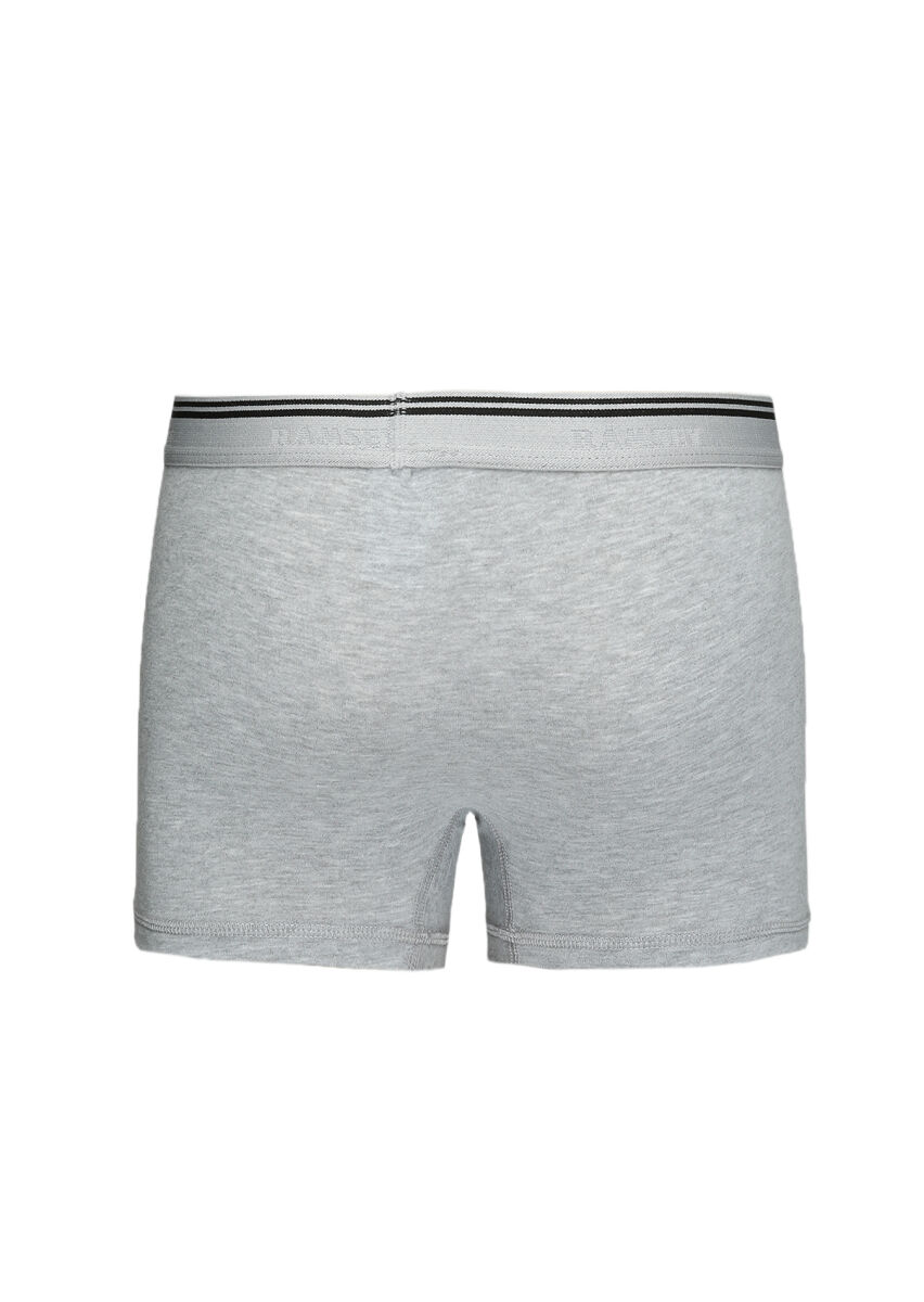 Gri Boxer - 3