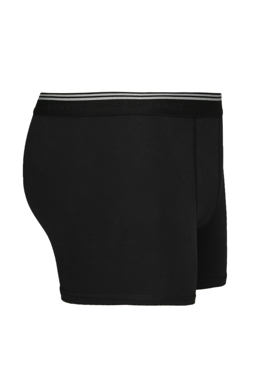 Siyah Boxer - 2