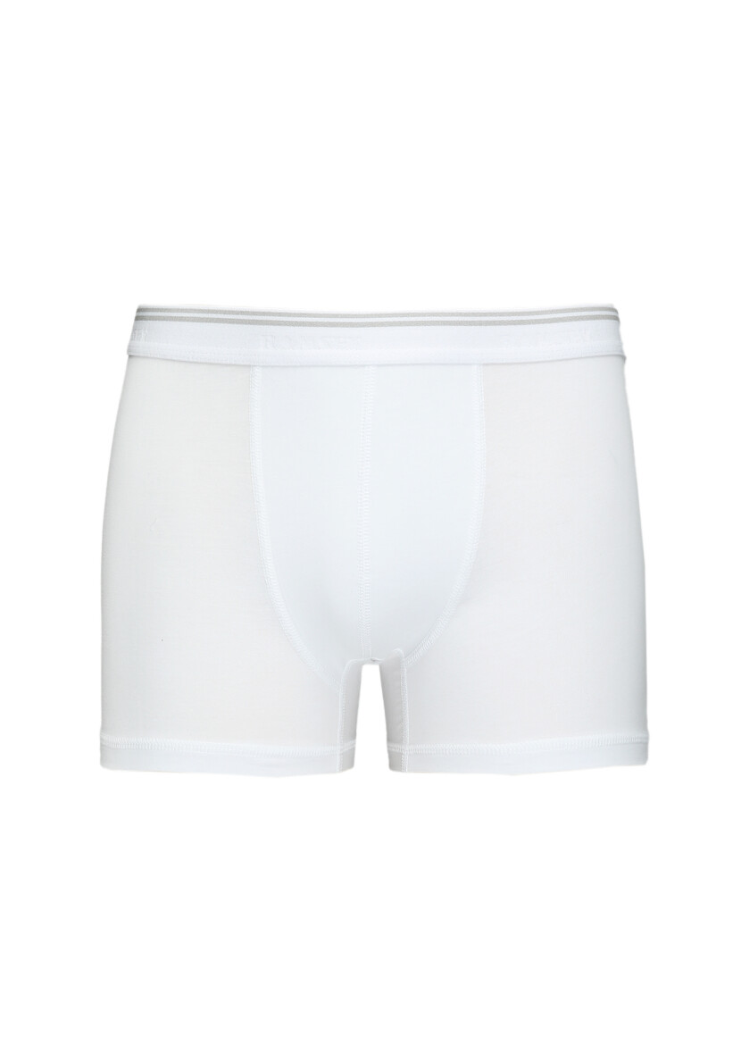 White Boxer - 1