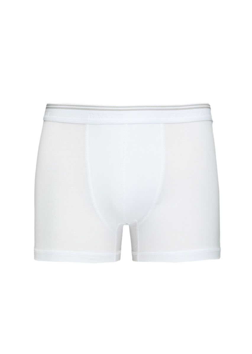 White Boxer - 1