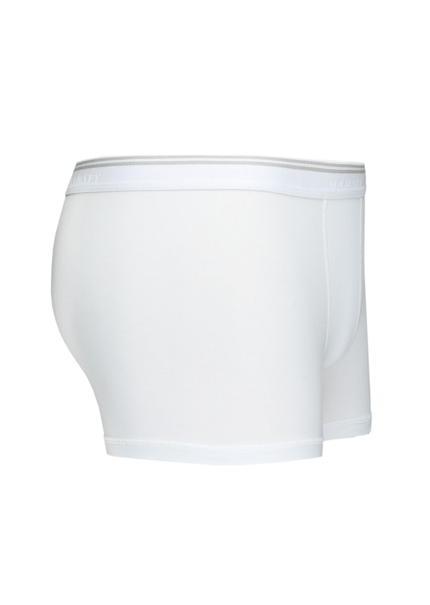 White Boxer - 2