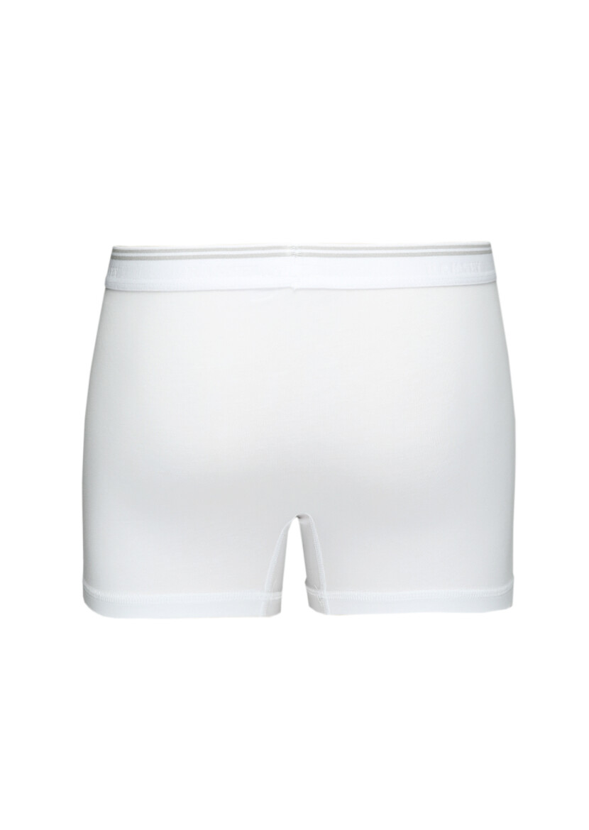 White Boxer - 3